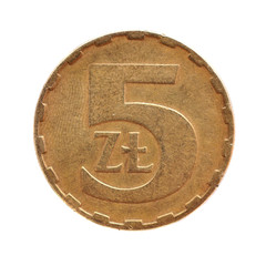 5 złoty