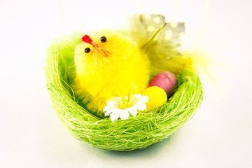 Easter Chicks in the nest