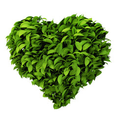 Fototapeta na wymiar heart symbol made of leafs