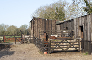 Small stables