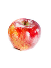 fresh apple