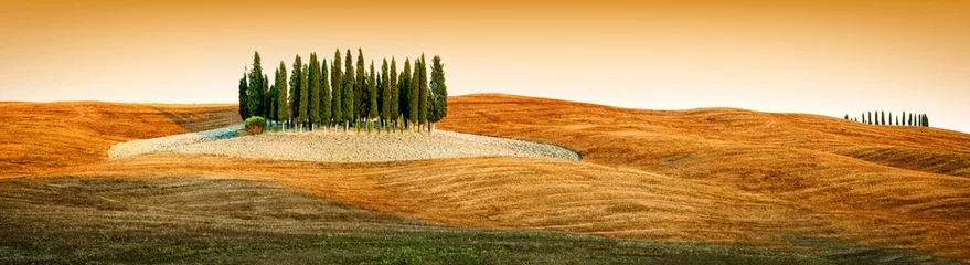 Poster Toscane landschap - cipressenbos © pitrs