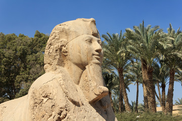 The Alabaster sphinx of Memphis (the Calcite Sphinx), Egypt