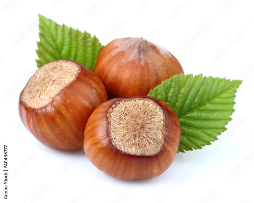 Poster hazelnuts with leaves