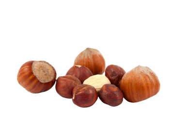 hazelnuts isolated