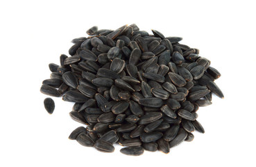 sunflower seeds isolated