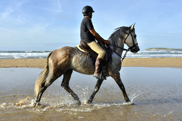 Rider riding on the beach