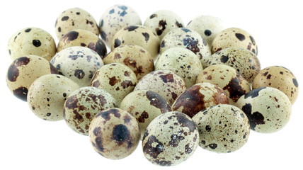 Obraz premium oeufs de caille