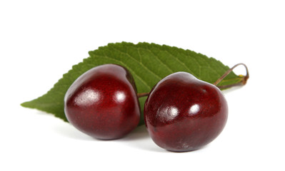 Two red cherries on the white background