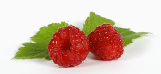 Red raspberries with green leaves on the withe background