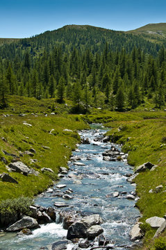 Alpe Devero, torrente, prati e alberi