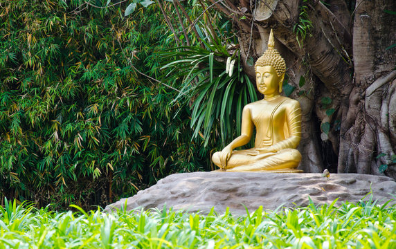 gold image of buddha under Bodhi tree
