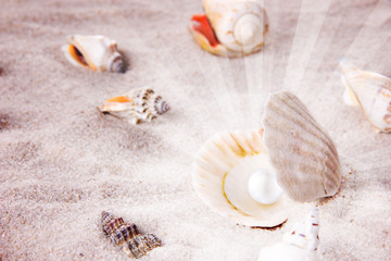 Shell with pearl on sand