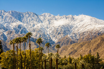 Snowfall on Mt San Jacinto - Powered by Adobe