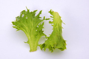 lettuce leaf isolated on white background