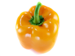 Orange bell pepper