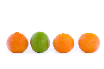 Tangerines on a white background