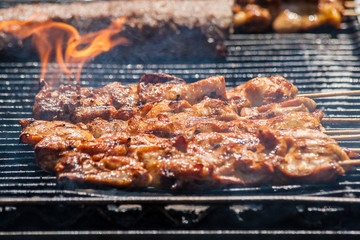 Pork Chops on a BBQ