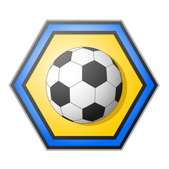 Obraz premium Emblema balón de fútbol