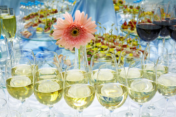 White and red wine in glasses,  snacks, water and flower