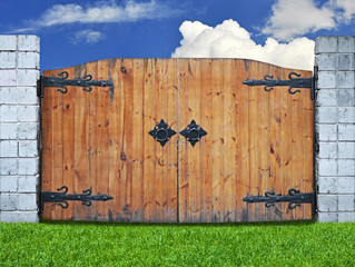 vintage wooden door in the nature