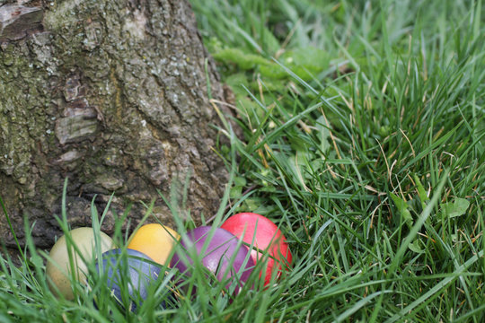 Ostereier im Gras