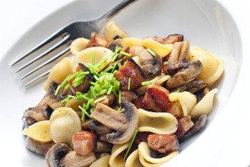 pasta orecchiette with fried champignons and bacon