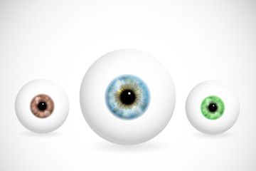 Eyes of different colors - 40497954