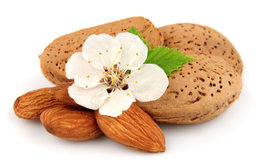 Almonds with flowers