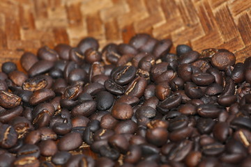 Bali coffee, shit coffee, luwak coffee