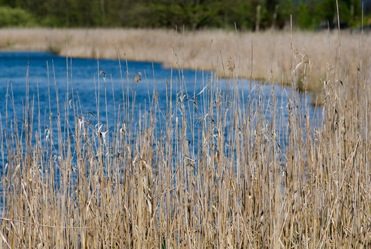 Parco naturale di Candia