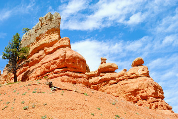 Fototapeta na wymiar Red rock pobliżu Bryce Canyon NP, Utah, USA