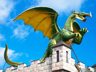Photo sur Plexiglas Dragons dragon