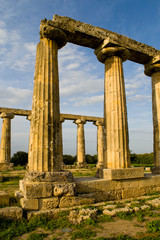 Fototapeta premium Antica Grecia , area archeologica Metaponto , Italia