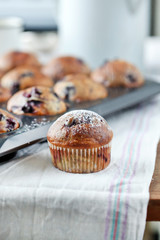 blueberries muffins