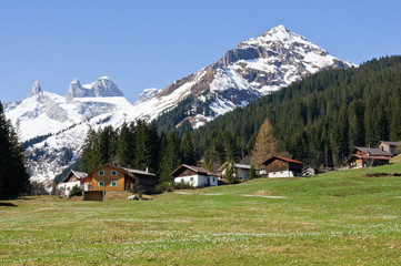 Frühling in den Alpen