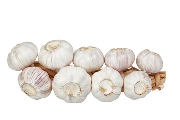 Bundle of garlic. On a white background.