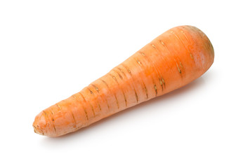 Raw carrot