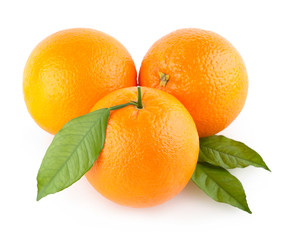 ripe oranges