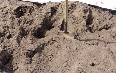 close up of organic compost