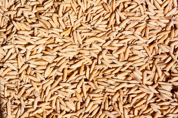 Jasmine rice seed texture