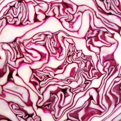 Obraz premium Cut red cabbage