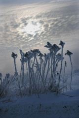 zimowy krajobraz © wojteczekx