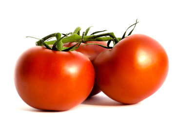 tomaten