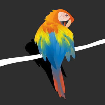 a colorful parrot on a tree