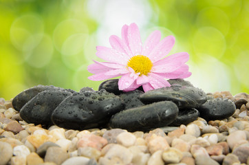 Obraz na płótnie Canvas Zen Stones and Flower on Nature