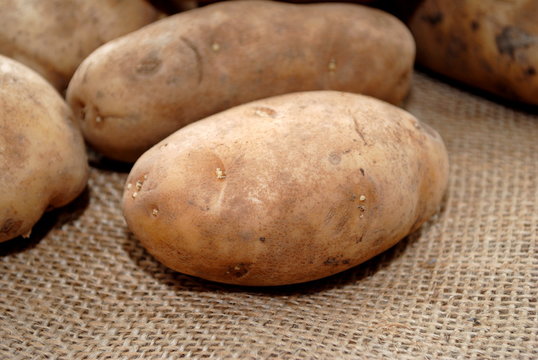 Fresh Garden Potatoes