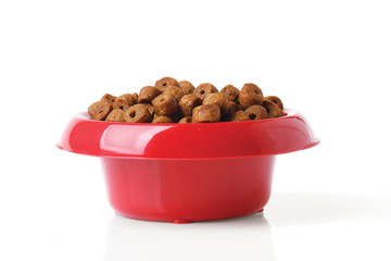 dog food isolated