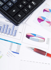 Obraz premium The diagramme with the calculator and a pencil