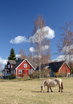 Idyllic Swedish vertical landscape